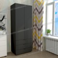 Шафа розпашна D-G-2-08
